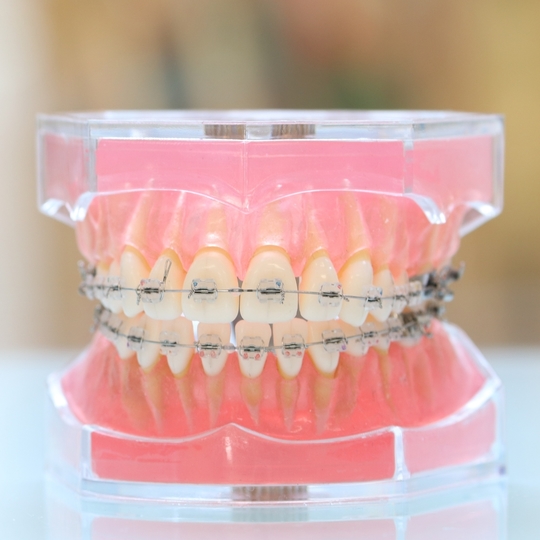 土日診療 茅ヶ崎市の歯医者 たまて歯科クリニック